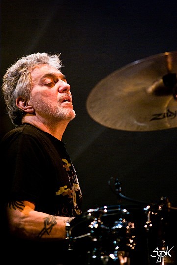 Steve Gadd